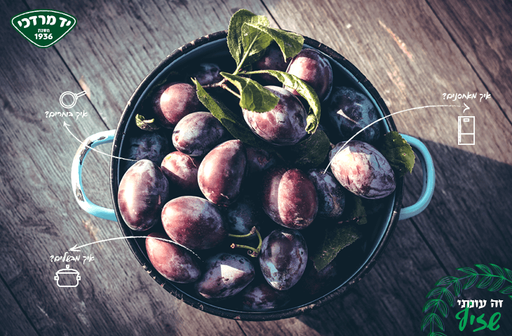 זה עונתי: שזיף