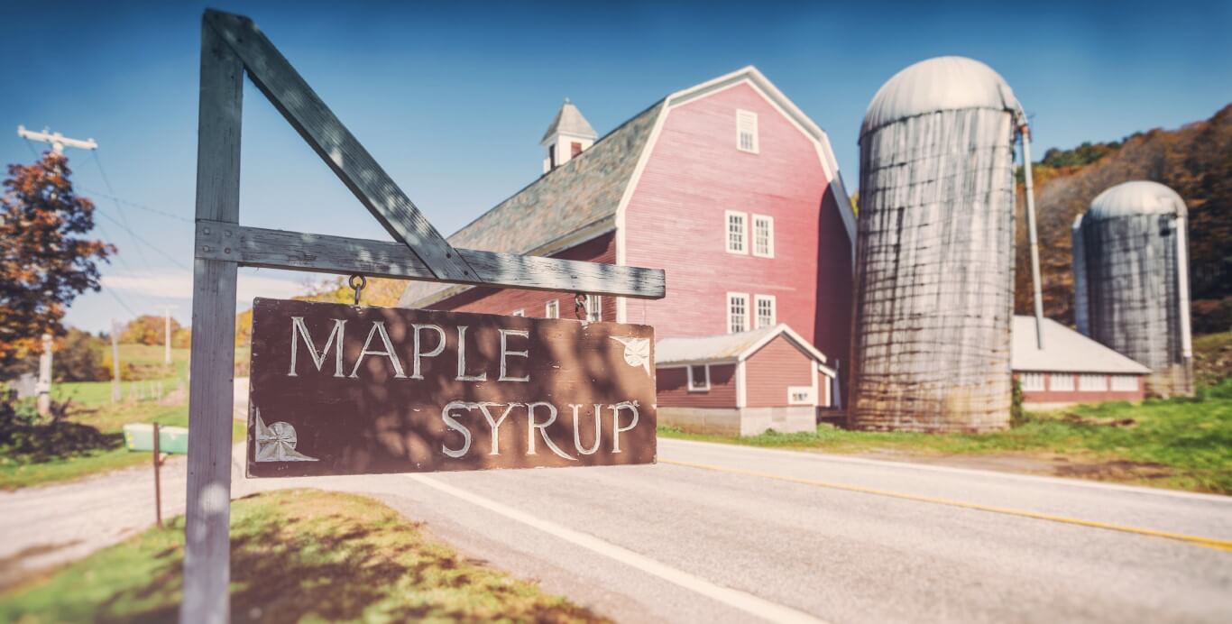 הכוכב החדש של המטבח