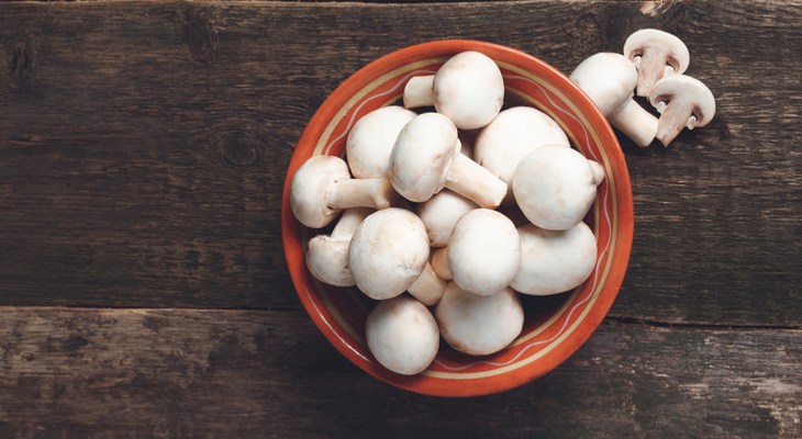 פטריות שמפיניון