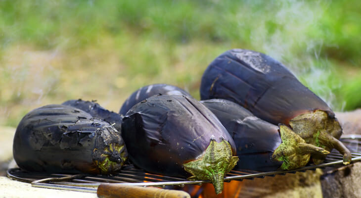 חציל על הגריל